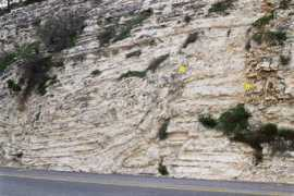 geology-israel.co.il Someh