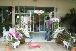 somkaew.com Somkaew
