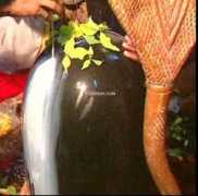liveindia.com Somnath