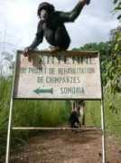 Somori