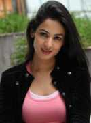Sonal