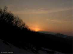 karpaty.com.ua Soncia