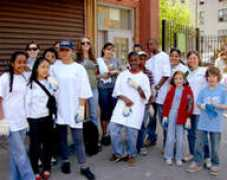 milliontreesnyc.org Sondah