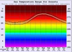 surf-forecast.com Sonesta