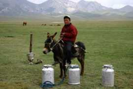 Sonkol