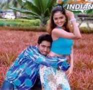 tollywood.allindiansite.com Sonlai