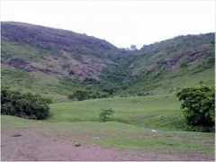 redgage.com Sonraj