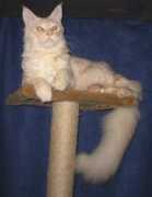 Sorbon