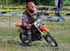 Soreca