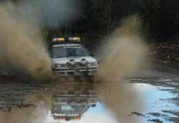 pacificforestrally.com Sorem