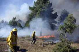 elnortedecastilla.es Soriana