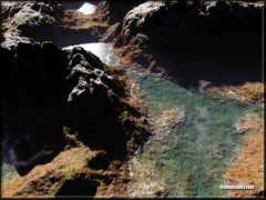 gallery.techarena.in Sorisha