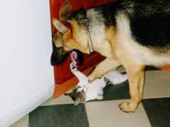 edoras-tolkien.com Soronel