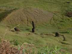 Sorongo
