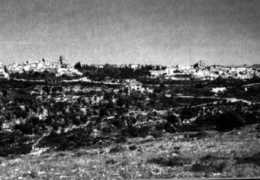 grifasi-sicilia.com Sortino