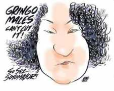 el.toonpool.com Sotomayor