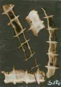 sottie.digart.pl Sottie