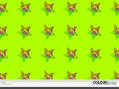 colourlovers.com Souer