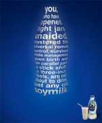 digitalillusioninc.com Soymilk