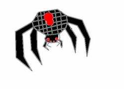 Spaider
