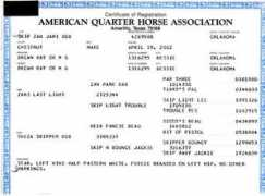 rdbquarterhorses.com Spandita