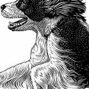 inkart.com Spanial