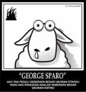 Sparo