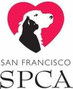diaryofasmartchick.com Spca