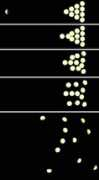 Spheres
