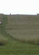 shilohbattlefield.org Sphi