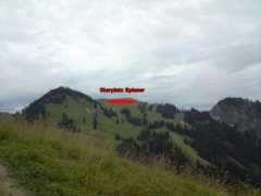 Spieser