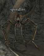 camelot.allakhazam.com Spindler
