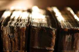Spine