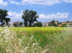 panoramio.com Spiniello