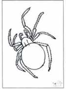 jetztmalen.de Spinne