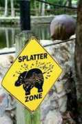 picshag.com Splatter