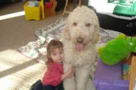 endolanekennels.com Spncer