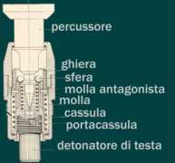 Spoletta