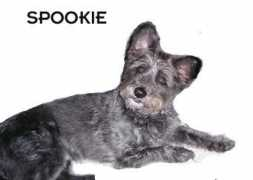 Spookie