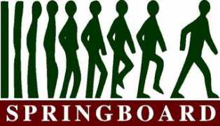 nappcanada.com Springboard