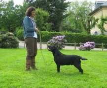 withara.nl Springe