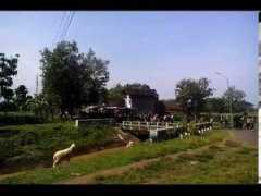 wn.com Sragen