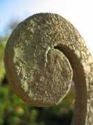 nuotraukos.n3po.com Sraige