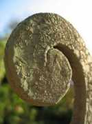 nuotraukos.n3po.com Sraige