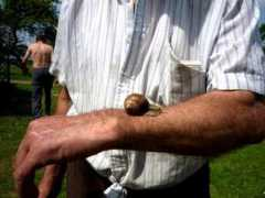 foto.delfi.lt Sraige