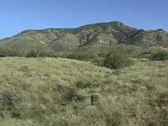 cals.arizona.edu Srer