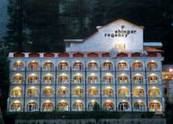 himachalindiatourism.com Sringar