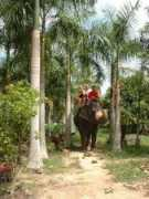 thailandhansi.net Srira