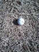blog.golfdigest.co.jp Srizon