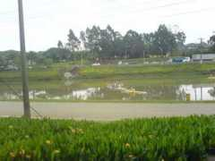 panoramio.com Srur